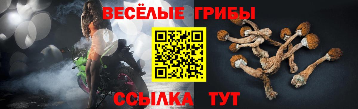 Галлюциногенные грибы MAGIC MUSHROOMS Шадринск